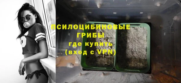 ПСИЛОЦИБИНОВЫЕ ГРИБЫ Алексин